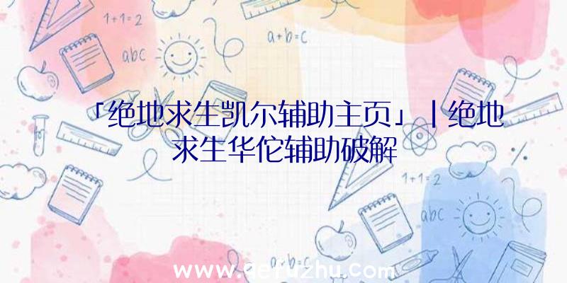 「绝地求生凯尔辅助主页」|绝地求生华佗辅助破解